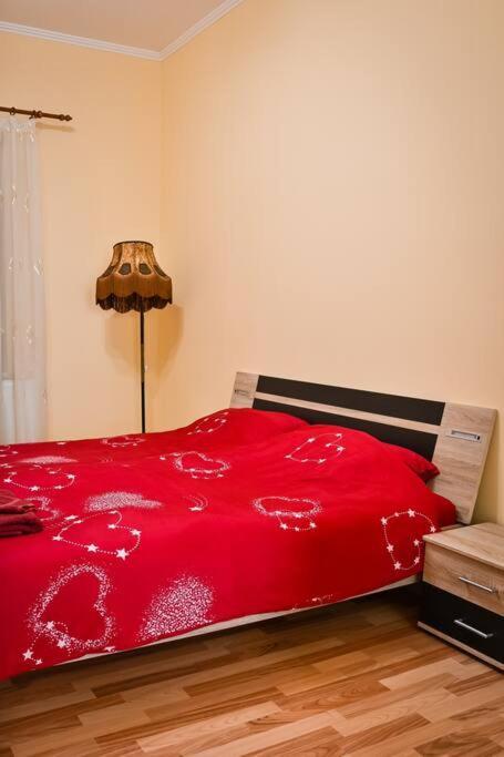 Appartement Casa Max à Timişoara Extérieur photo