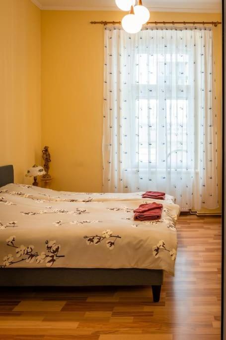 Appartement Casa Max à Timişoara Extérieur photo