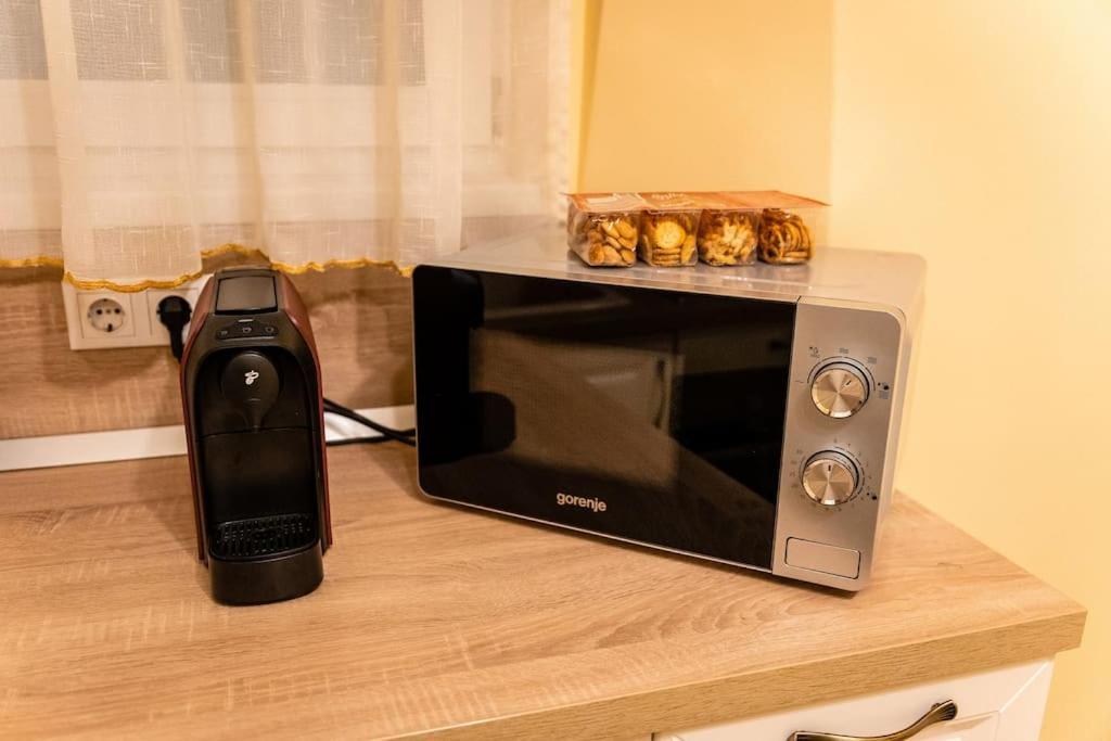 Appartement Casa Max à Timişoara Extérieur photo