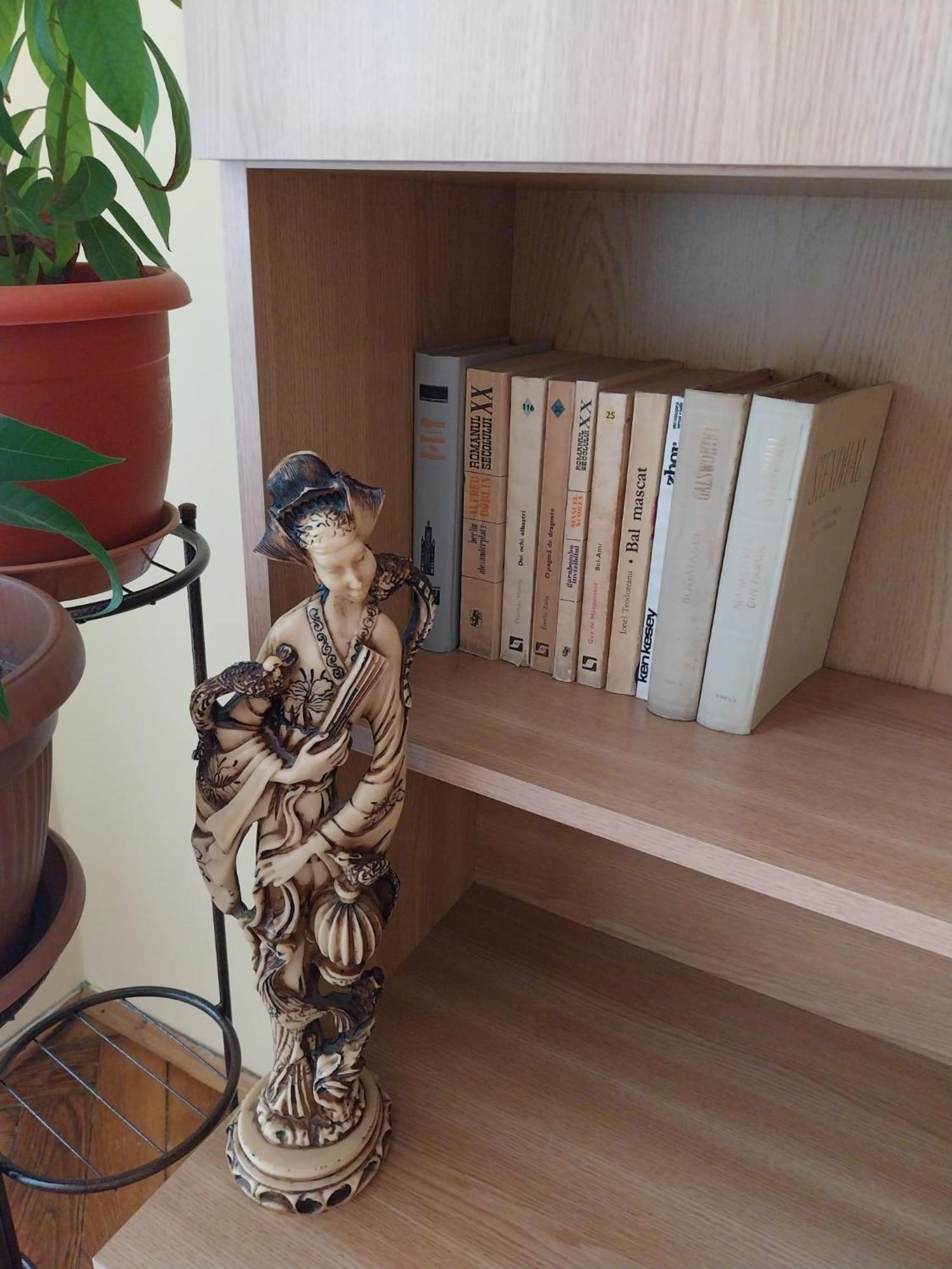 Appartement Casa Max à Timişoara Extérieur photo